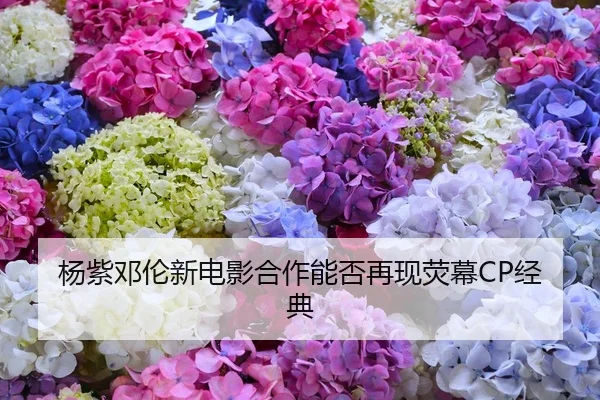 杨紫邓伦新电影合作能否再现荧幕CP经典